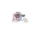 1x Wasserpumpe, Motorkühlung AKS DASIS 570018N passend für AUDI VAG
