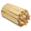 BEESI 1000x Naturbelassen Niströhren für Wildbienen aus Schilf 14 cm lang