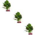  3 Pack Aquarium Wasserpflanzen Landschaftsbau Bright Color Decoration