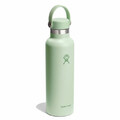 Hydro Flask - 621 ml Standard Mouth Thermosflasche mit Flex Cap aloe