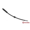 1x Bremsschlauch BREMBO T 23 188 passend für AUDI CITROËN FIAT LANCIA OPEL