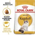 10 kg ROYAL CANIN Ragdoll Adult Katzenfutter Trockenfutter 