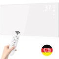 Infrarotheizung Elektroheizung Wandheizung mit Thermostat mit Fernbedienung