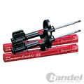 2x KYB ECEL-G STOSSDÄMPFER VORNE L+R passend für PEUGEOT 4007 CITROEN MITSUBISHI