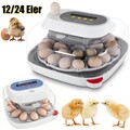 12-24 Eier Inkubator Brutmaschine Brutkasten Brutapparat Vollautomatisch Brüter