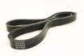 ASHIKA (112-4PK850) Keilriemen Keilrippenriemen für HONDA MAZDA NISSAN