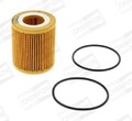 CHAMPION Ölfilter COF100536E für ALFA ROMEO CADILLAC  passend für FIAT OPEL