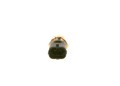 BOSCH Sensor, Kühlmitteltemperatur 0 281 002 170 für OPEL FERRARI CHEVROLET
