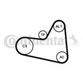 CONTINENTAL CTAM (6PK976K1) Keilrippenriemensatz für CITROEN FORD MAZDA