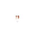Pet Shop Boys: Please (2018 Remastered Version) - LP Vinyl *BRANDNEU*