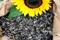 20 kg Sonnenblumenkerne gestreift Ernte 2023 Vogelfutter Streufutter