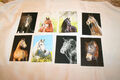 8 Pferdepostkarte, AK Pferde, ohne Verlagsangaben  C9