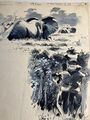 Originalzeichnung Wilhelm Eigener Foto-Safari Elefant Afrika 1955 Feder signiert