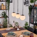 HOFSTEIN Gastor Hängeleuchte Kugelleuchte Pendelleuchte Esszimmer Hängelampe 