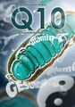 Co-Enzym Q10: Die Erfolgsgeschichte eines Vitalstof... | Buch | Zustand sehr gut