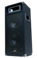 500W DJ Party passiv Lautsprecher PA Disco Box doppel 20cm / 8" Bass PW220 - NEU
