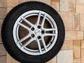 4x Continental WinterContact TS 850 P SUV 215/65 R17 99H M+S  auf Alufelgen