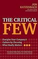 The Critical Few: Energize Your Company's Culture b... | Buch | Zustand sehr gut