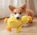 Beruhigendes Enten-Haustier-Plüschspielzeug für Hunde mit Quak Geräusch Gr . S