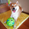 Hundespielzeug Ball Unzerstörbar Quitschend Gummi Rollender für Große HundeGrün-