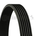 CONTINENTAL CTAM 6PK1623 KEILRIPPENRIEMEN FÜR AUDI CITROËN HONDA OPEL SUBARU VAU