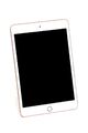 Apple iPad mini 5th Gen WiFi only A2133 64GB 7,9" (20,1cm) Gold Tablet *ST-1137*