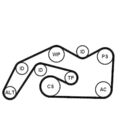 CONTINENTAL CTAM Keilrippenriemen Spannrolle Umlenkrolle 6PK2490K1