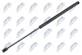 Kofferraum-Gasfeder AE-VW-064 NTY für VW TIGUAN