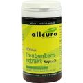 TRAUBENKERNEXTRAKT Kapseln, 100 St PZN 01452773