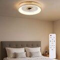 Deckenventilator Deckenleuchte Holzlampe Timer dimmbar Fernbedienung CCT LED