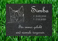 Grabstein Tier Gedenktafel Gedenkplatte Katze Granit Stein mit Gravur 30x20cm