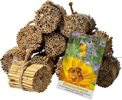 Dobar Schilfrohrhalme-Set 1.000 STK Insektenhotel Bastelset Wildbienenhotels