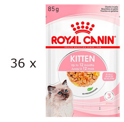 (EUR 18,18/kg) Royal Canin Kitten in Gelee Nassfutter für Katzenwelpen 36x 85 g