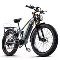 Elektrofahrrad 26 Zoll E Mountainbike 48V 20AH Akku Ebike 25km/h City Pedelec