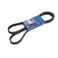 SKF VKMV 6PK1613 Keilrippenriemen für Audi A4 VW Crafter 30-35 Volvo S40 I