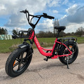 ENGWE L20 250W 20 Zoll E-Bike Elektrofahrrad 48V 16Ah E-Mountainbike Fat Bike
