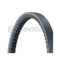 1x Keilriemen CONTINENTAL CTAM 11,5X790Ld passend für FORD SEAT VW