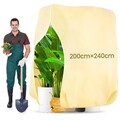 1-2 Stück XXL Pflanzen Frostschutz-Vlies Palmen Baum Winterschutz Wintervlies
