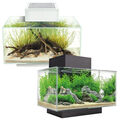 Fluval Edge Aquarium kleiner Fischtank 2.0 LED Beleuchtung & Filter 23L schwarz/weiß