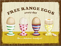 Magnet Free Range Eggs, 8 x 6 cm