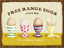 Magnet Free Range Eggs, 8 x 6 cm