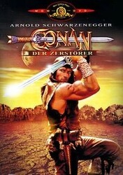 Conan, der Zerstörer von Richard Fleischer | DVD | Zustand akzeptabelGeld sparen und nachhaltig shoppen!