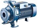 Wassernormpumpen EN733 für die INDUSTRIE DreiPhasen F32/200AH aus Gusseisen 400V