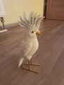 Wunderschöner Deko Papagei Vogel 21 cm hoch Wohnzimmer Zimmerdekoration Top