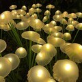 4Stk Solarlampen für Außen Gartendeko 2 Modi Quallen Solarleuchten Rasenlicht DE