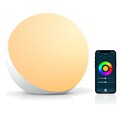 Smart LED Tischlampe Kinder Nachttischlampe dimmbar Alexa Google WLAN