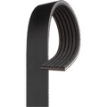 Gates 6PK1685 Keilrippenriemen für OPEL FORD AUDI CHEVROLET JEEP VOLVO VW BMW
