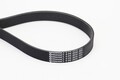 CONTINENTAL CTAM Keilrippenriemen 8PK2035 für MERCEDES W221 W164 V251 W251 X164