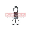 1x Keilrippenriemen KAMOKA 7016141 passend für AUDI BMW CHRYSLER DODGE FORD