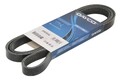 Keilrippenriemen DAYCO 5PK1810S